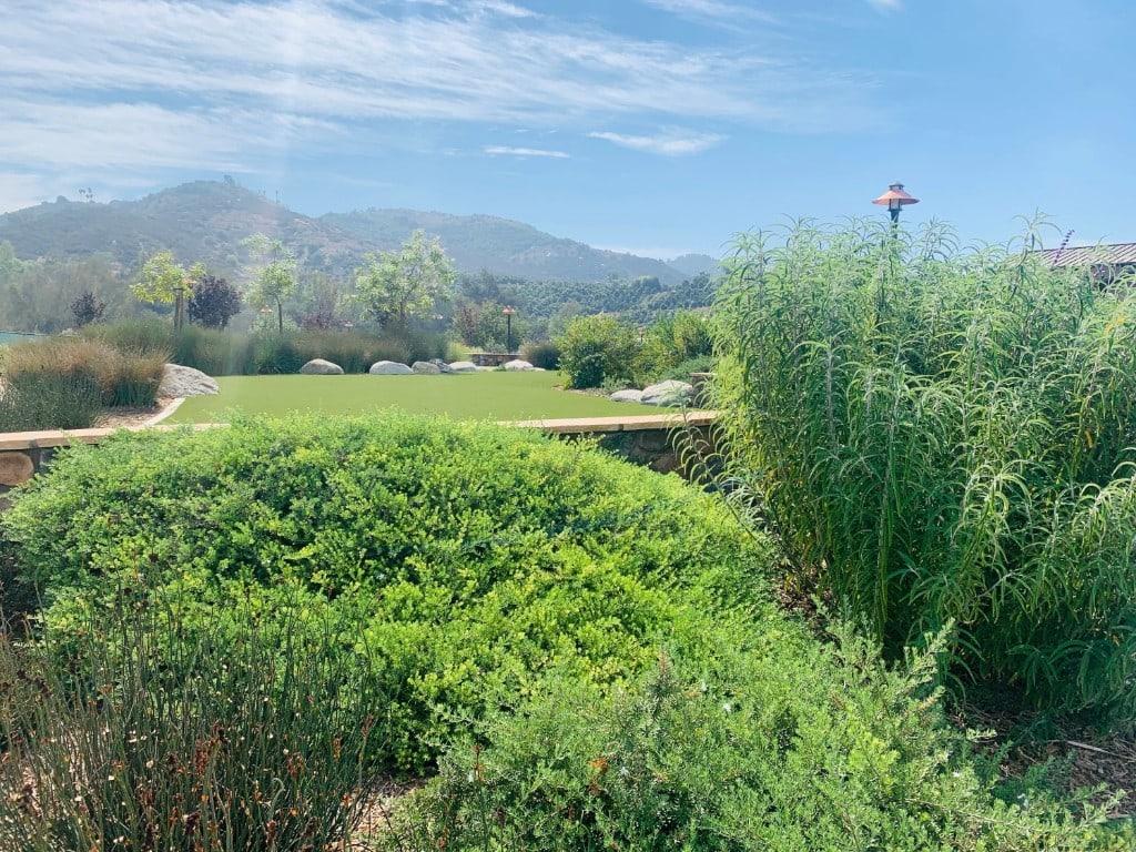 Gardens and hills at TERI Campus of Life