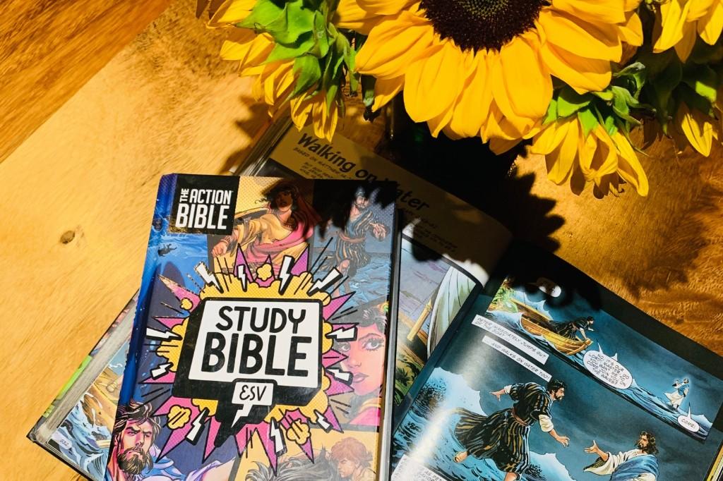The Action Bible Study Bible open beside sunflowers